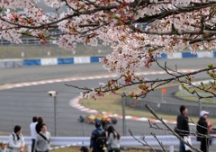 AUTOBACS SUPER GT Rd.1 岡山300kmレース 239