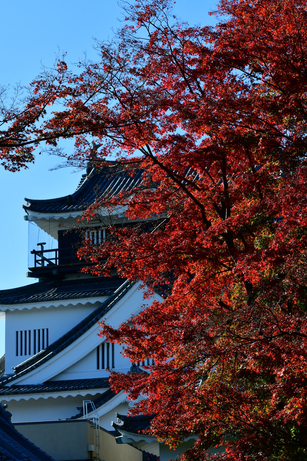 岡崎城