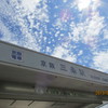 見上げると・・・