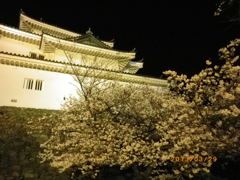 和歌山城・・夜桜