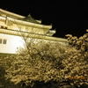 和歌山城・・夜桜