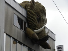 大変だぁー！あんな所にデカイノシシが！