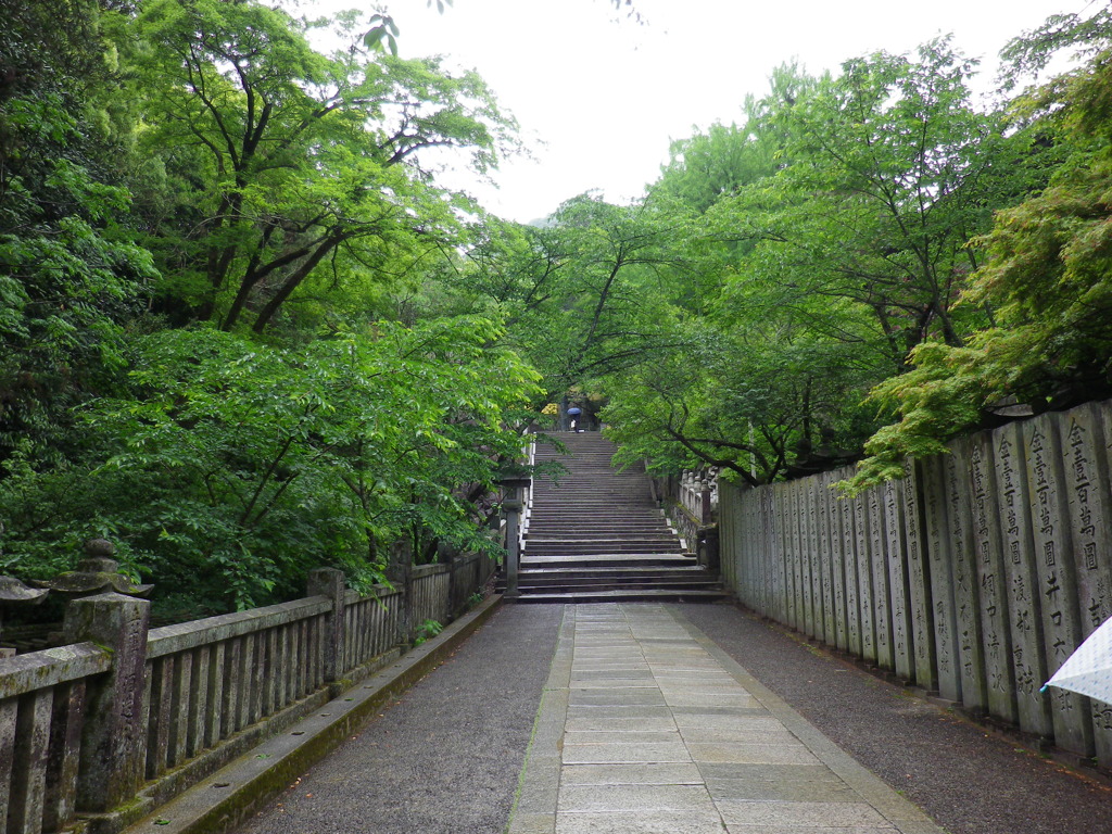 聖域への道