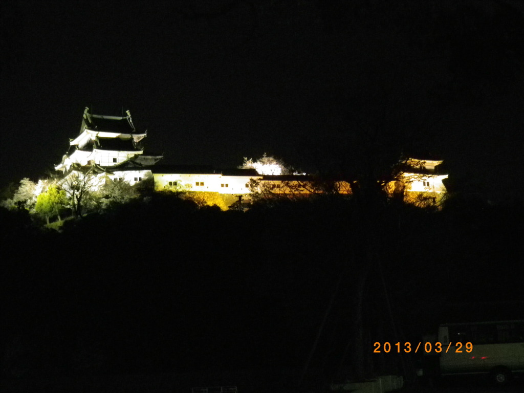 和歌山城ライトアップ