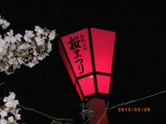 和歌山城　桜祭り