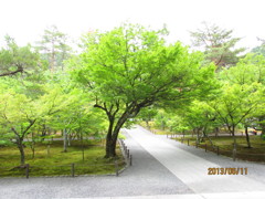 南禅寺