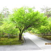南禅寺