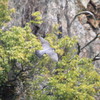 IMG_2068a