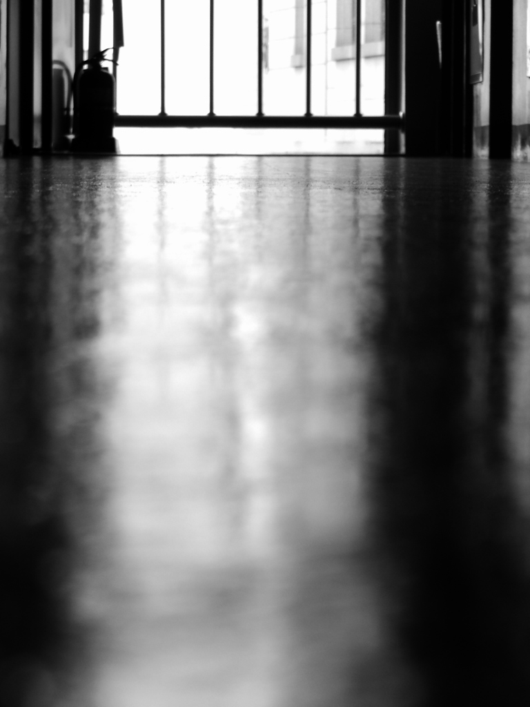 reflection
