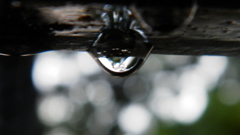 雨が降る今日一日