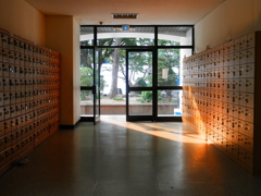 学校、玄関