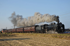 D51498