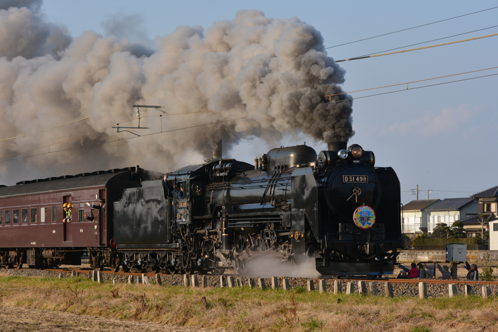 D51498