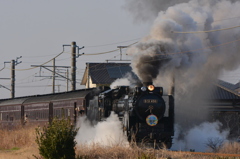 D51498