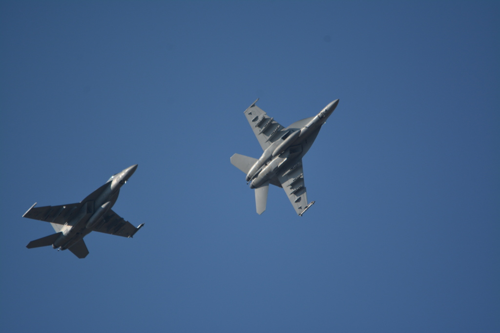 DSC_4565