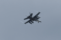 DSC_4044　F-18
