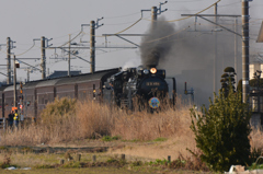 D51498