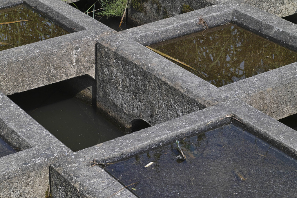 キャンベルタウンにて