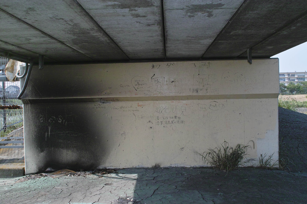 キャンベルタウンにて