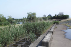 キャンベルタウンにて