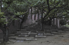 東武動物公園付近