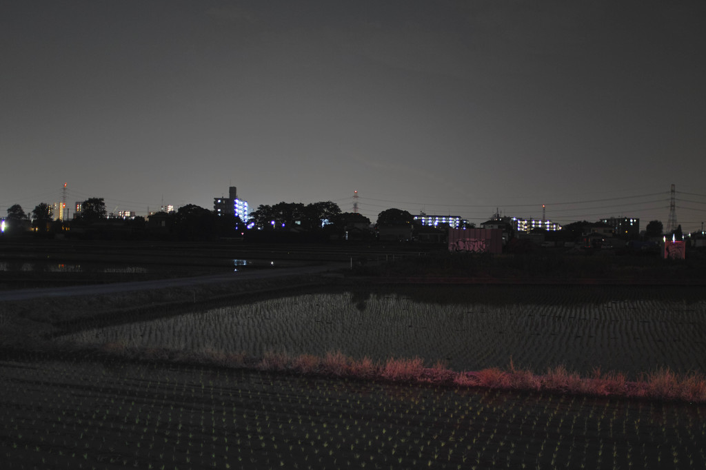 健康福祉村公園付近
