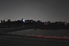 健康福祉村公園付近