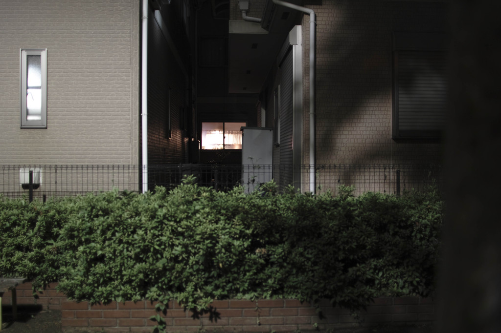 ひまわり付近公園