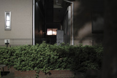 ひまわり付近公園