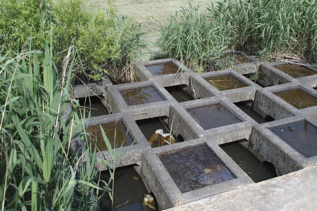 キャンベルタウンにて