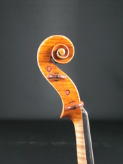 Gaspare Lorenziniスクロール１