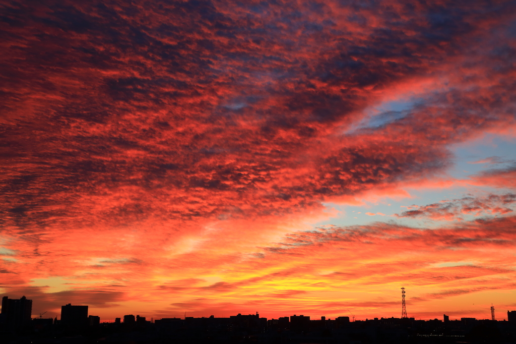 Morning glow  20131216