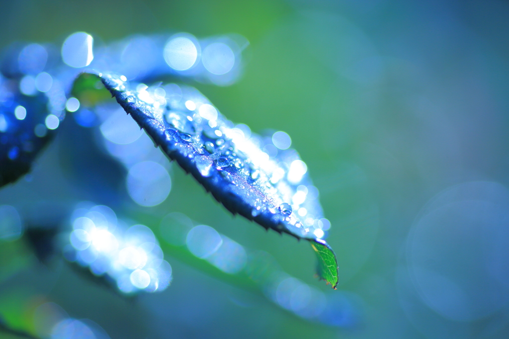Art of rain Pt9