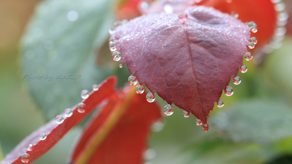 Art of morning dew Pt25