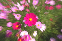 次の季節への招待