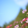 Thank you for kindness