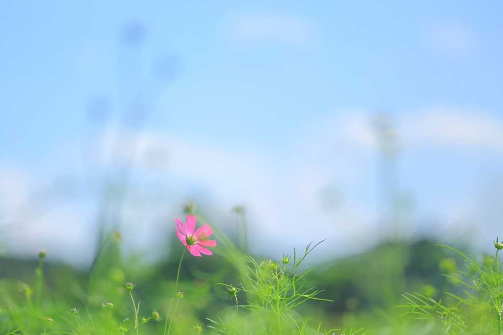 そよ風の中で