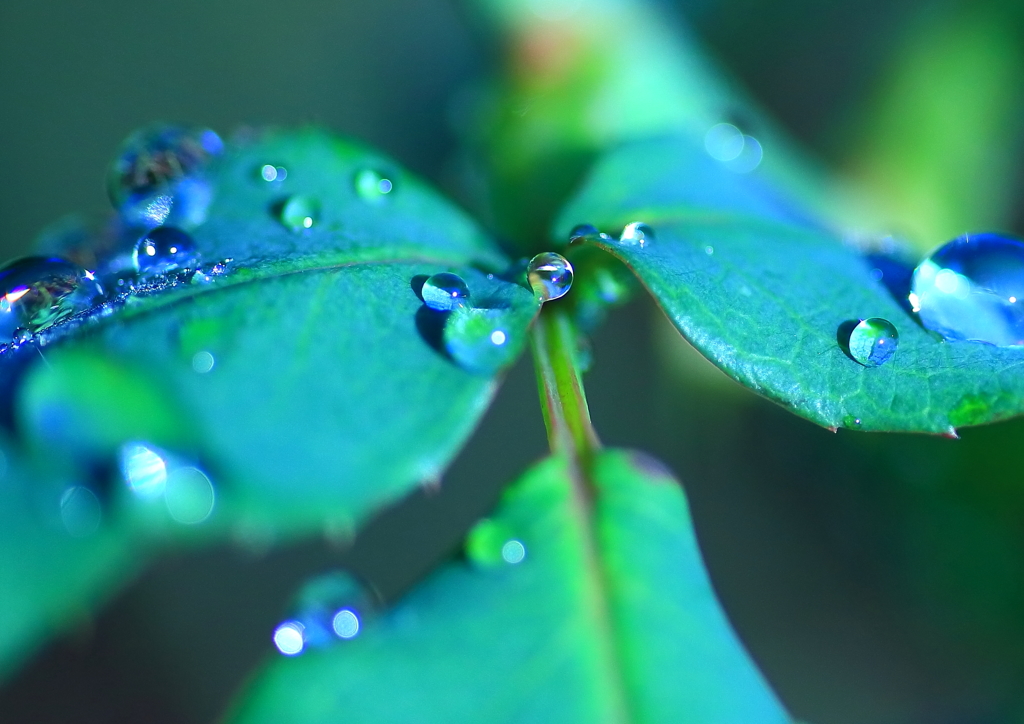 雨音