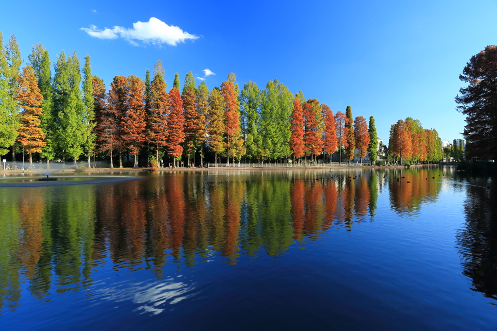 Fall of mirror 2014