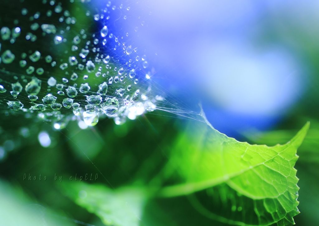 雨が好き