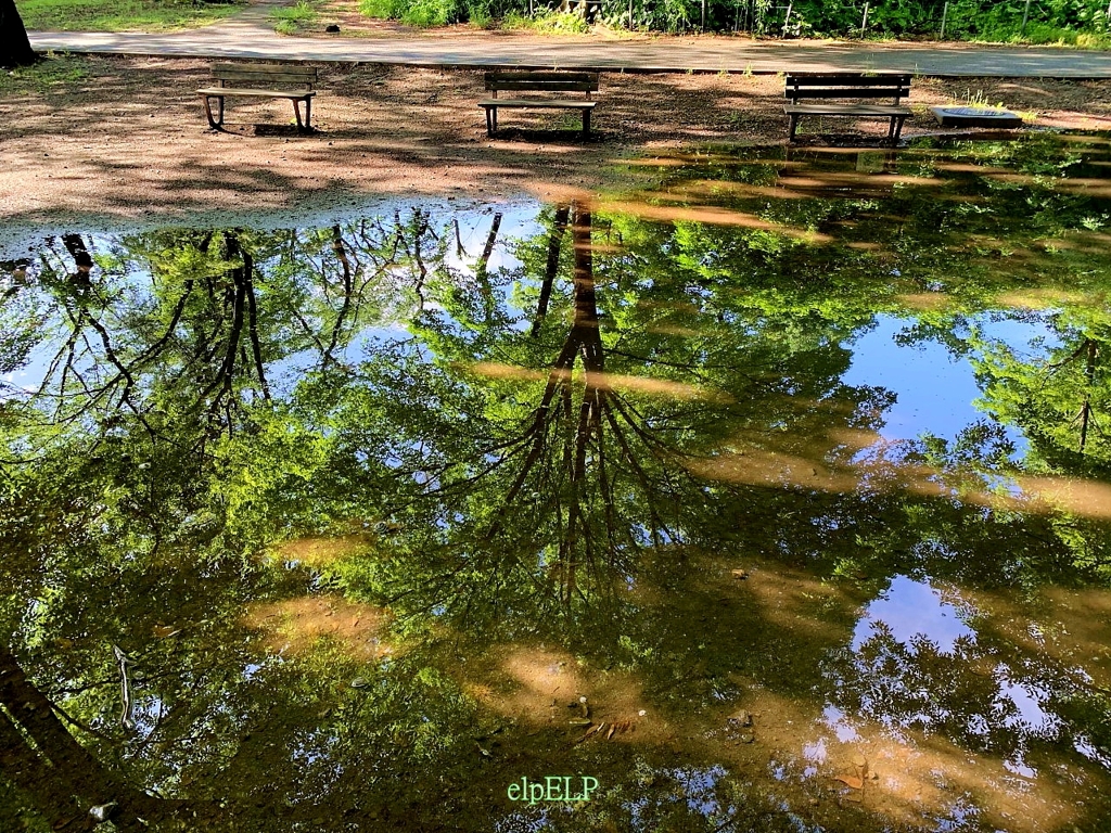 『雨の後』