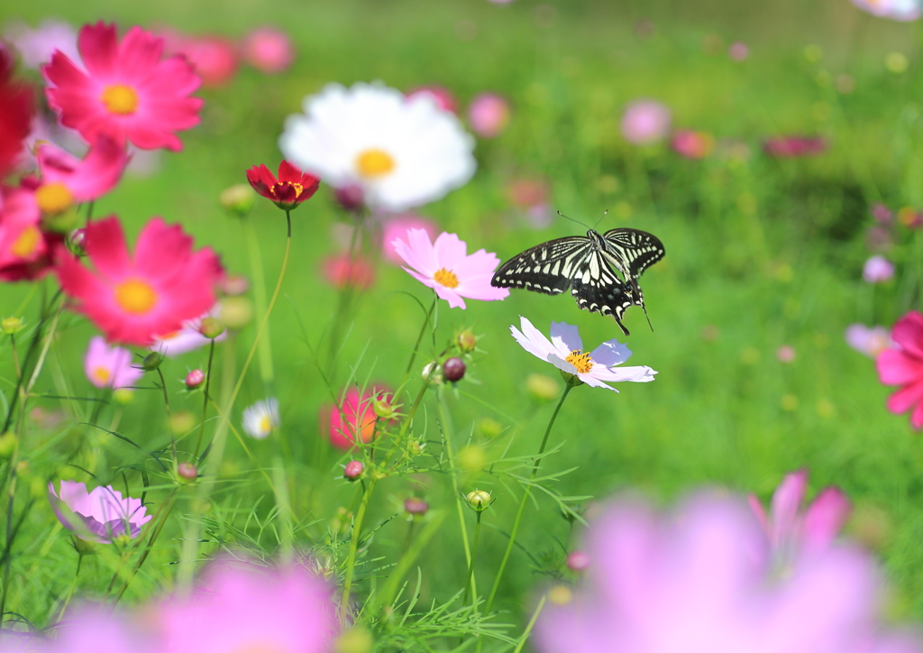 Landing