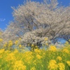 『暖かな記憶』
