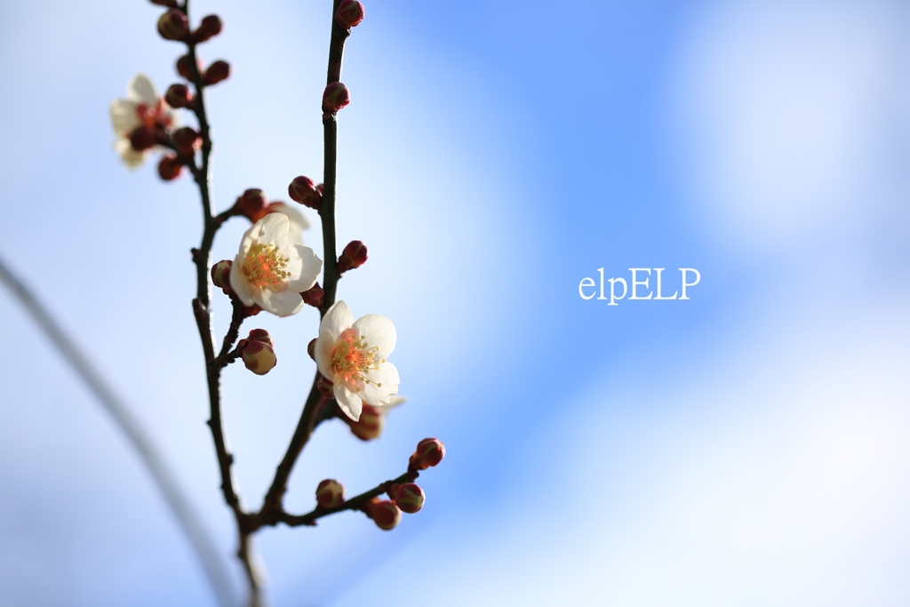 beginning