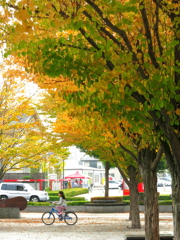 秋色の街