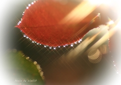 Art of morning dew Pt18