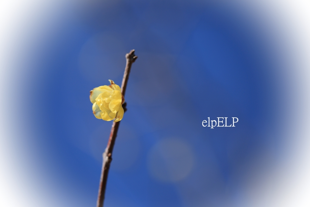 One