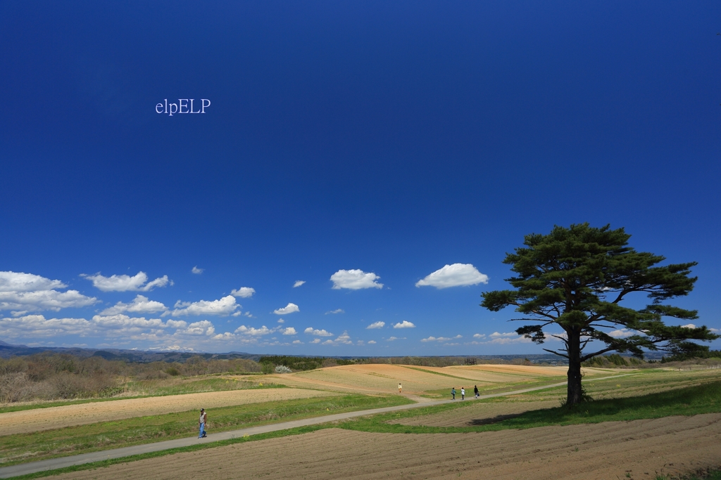 『道』