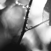Rain Concerto
