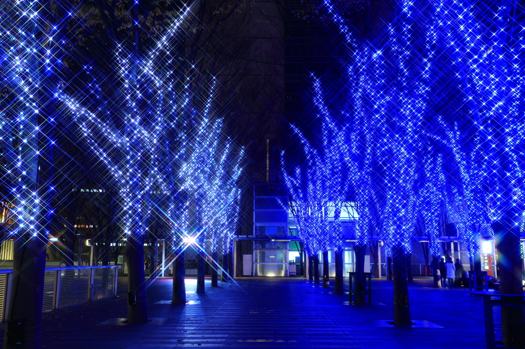 Wishes of the season